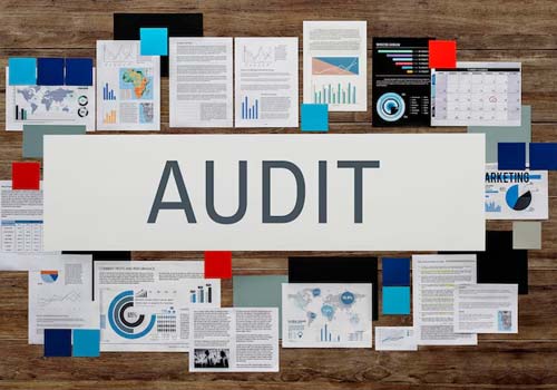 Audit Preparation Support (Bookkeeping side)